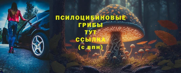 стафф Вязники